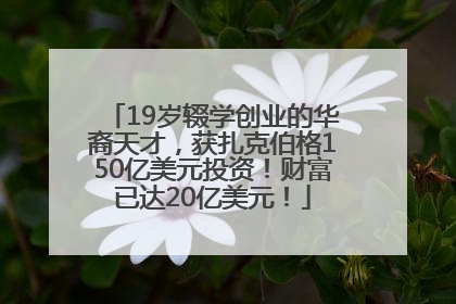 19岁辍学创业的华裔天才，获扎克伯格150亿美元投资！财富已达20亿美元！
