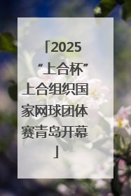 2025“上合杯”上合组织国家网球团体赛青岛开幕
