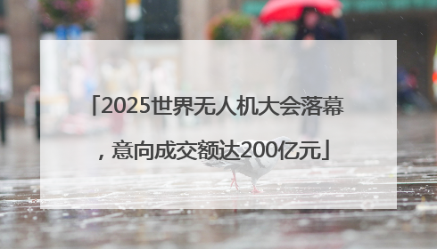 2025世界无人机大会落幕，意向成交额达200亿元