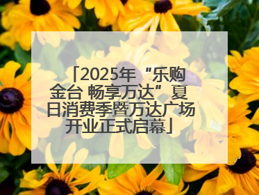 2025年“乐购金台 畅享万达”夏日消费季暨万达广场开业正式启幕