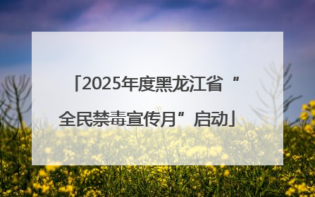 2025年度黑龙江省“全民禁毒宣传月”启动