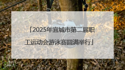 2025年宜城市第二届职工运动会游泳赛圆满举行