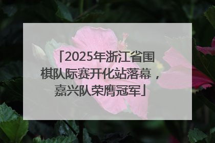 2025年浙江省围棋队际赛开化站落幕，嘉兴队荣膺冠军