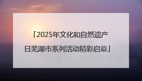 2025年文化和自然遗产日芜湖市系列活动精彩启幕