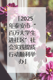 2025年泰安市“百万大学生进社区”社会实践提质行动顺利举办