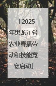 2025年黑龙江省农业春播劳动和技能竞赛启动