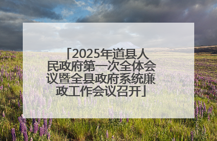 2025年道县人民政府第一次全体会议暨全县政府系统廉政工作会议召开