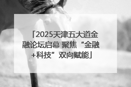 2025天津五大道金融论坛启幕 聚焦“金融+科技”双向赋能