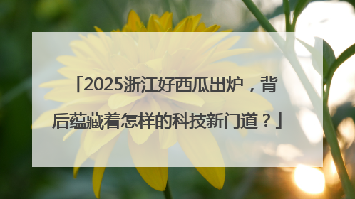 2025浙江好西瓜出炉，背后蕴藏着怎样的科技新门道？