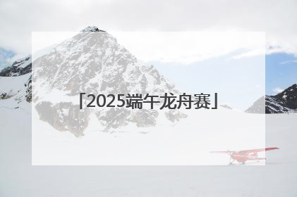 2025端午龙舟赛