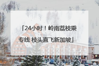 24小时！岭南荔枝乘专线 枝头直飞新加坡