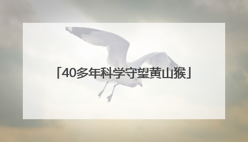 40多年科学守望黄山猴