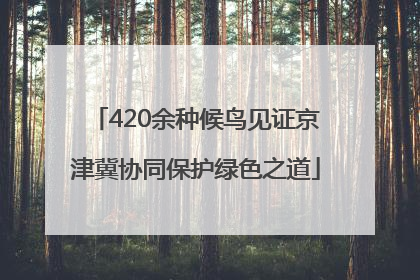 420余种候鸟见证京津冀协同保护绿色之道