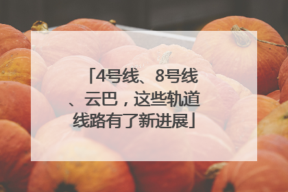 4号线、8号线、云巴，这些轨道线路有了新进展