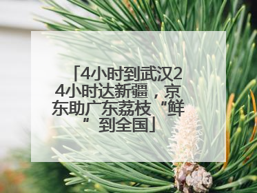 4小时到武汉24小时达新疆，京东助广东荔枝“鲜”到全国
