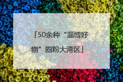 50余种“淄博好物”圈粉大湾区
