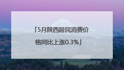5月陕西居民消费价格同比上涨0.3%