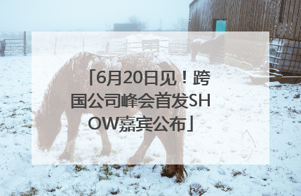 6月20日见！跨国公司峰会首发SHOW嘉宾公布