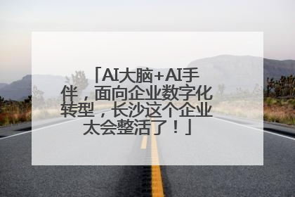 AI大脑+AI手伴，面向企业数字化转型，长沙这个企业太会整活了！