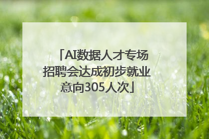 AI数据人才专场招聘会达成初步就业意向305人次