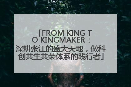 FROM KING TO KINGMAKER：深耕张江的盛大天地，做科创共生共荣体系的践行者