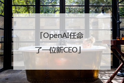 OpenAI任命了一位新CEO