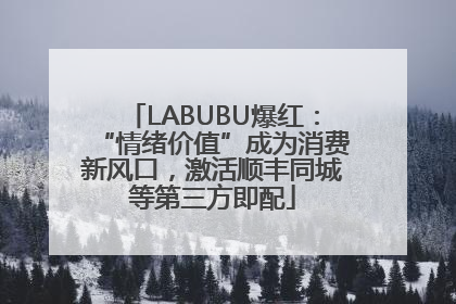 LABUBU爆红：“情绪价值”成为消费新风口，激活顺丰同城等第三方即配