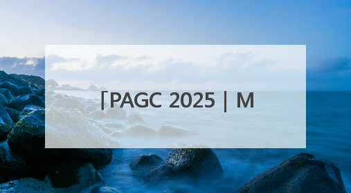PAGC 2025｜MergeX荣膺「2025 H1 出海新势力奖」