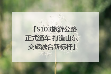 S103旅游公路正式通车 打造山东交旅融合新标杆
