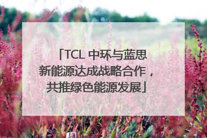 TCL 中环与蓝思新能源达成战略合作，共推绿色能源发展