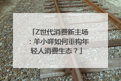 Z世代消费新主场：羊小咩如何重构年轻人消费生态？